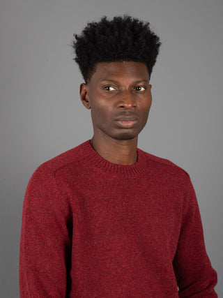 Maglia Shetland - Bordò