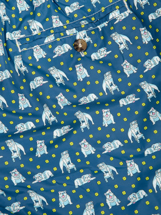 Costume Lighting Micro Fantasy - Blu Bulldog