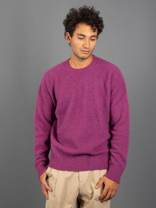Maglia Casentino - Ciclamino