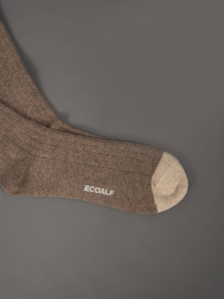 Calza Mountain - Tortora