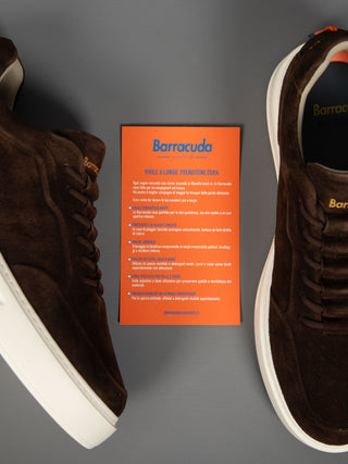 Sneakers Phoenix - Moro