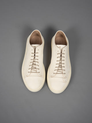 Sneakers Paik - Burro