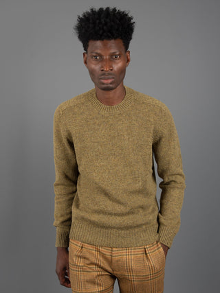 Maglia Shetland - Muschio
