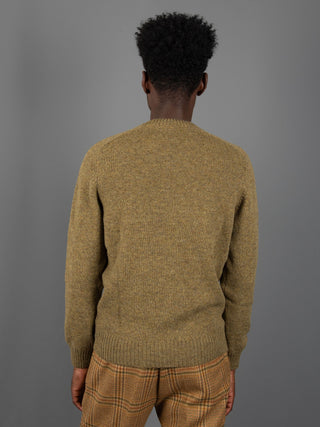 Maglia Shetland - Muschio
