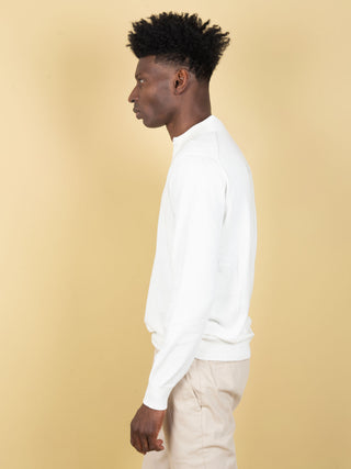 Polo in Cotone  - Bianco