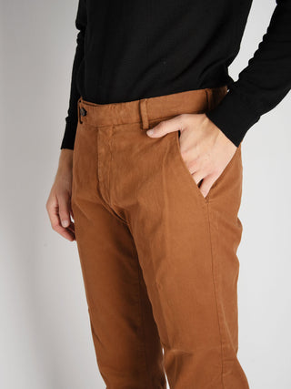 Pantalone Morello - Tabacco