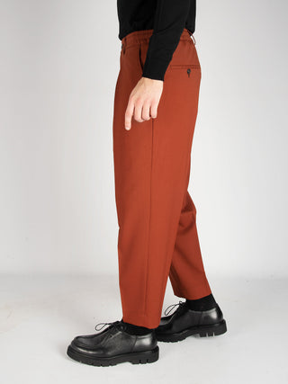 Pantalone Dominique - Tegola